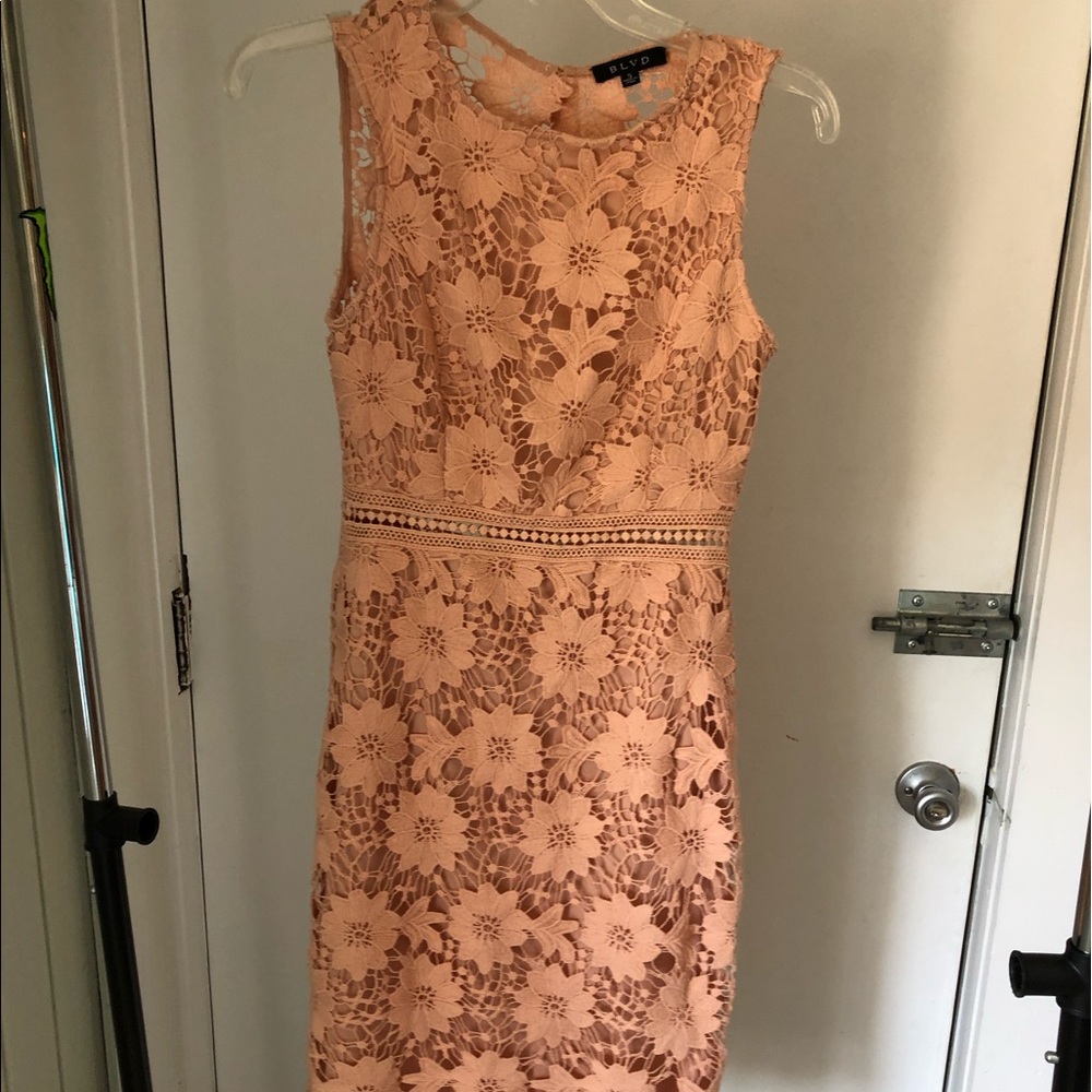 BLVD blush crocheted dress
